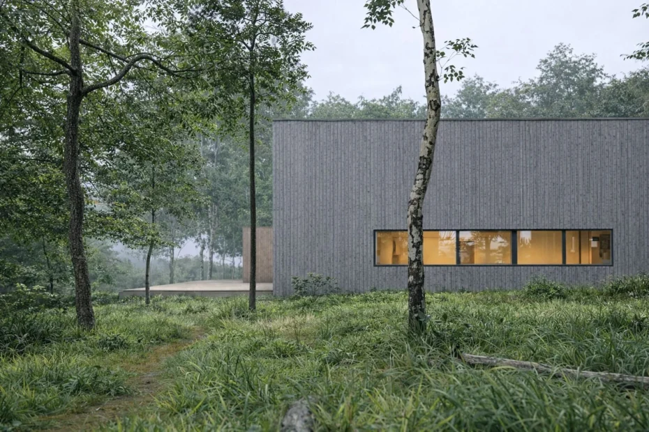 Drewniana elewacja domu jednorodzinnego z poziomym podłużnym oknem na niekarczowanej działce.