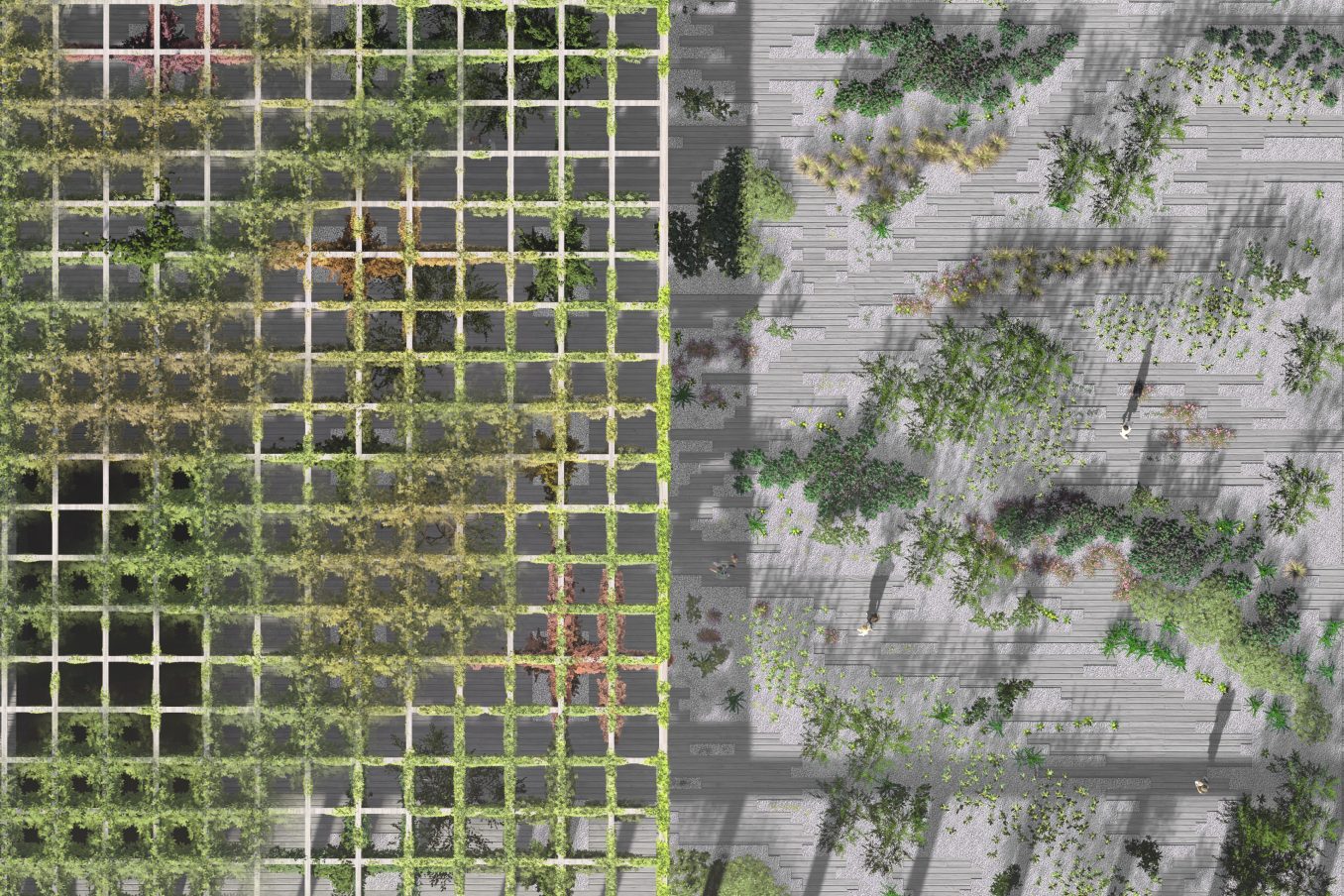 ogród świetlny na dachu Kampus Ochota Warszawa